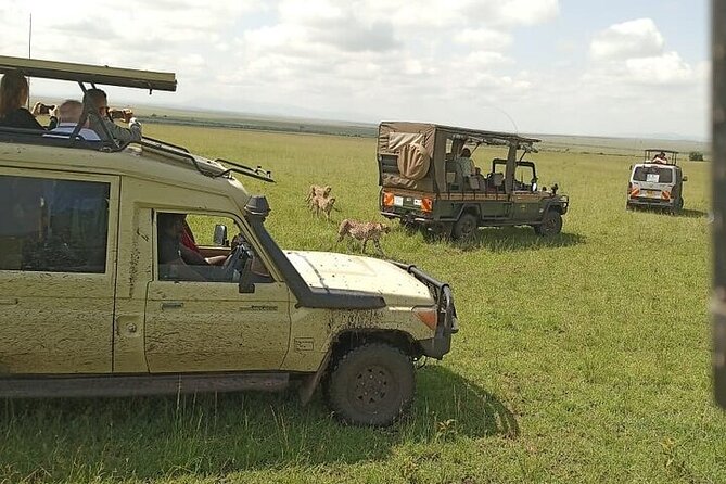 3 days group joining safari to Masai Mara with a Land CruiserJeep - What the group format means for you