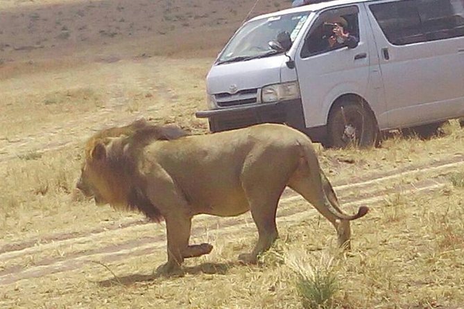 3 Days Maasai Mara Budget Group Safari - Why three days in the Maasai Mara can work