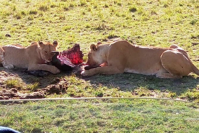 3 Days Maasai Mara Budget Group Safari - Day one: Nairobi, the Rift Valley, and the first game drive