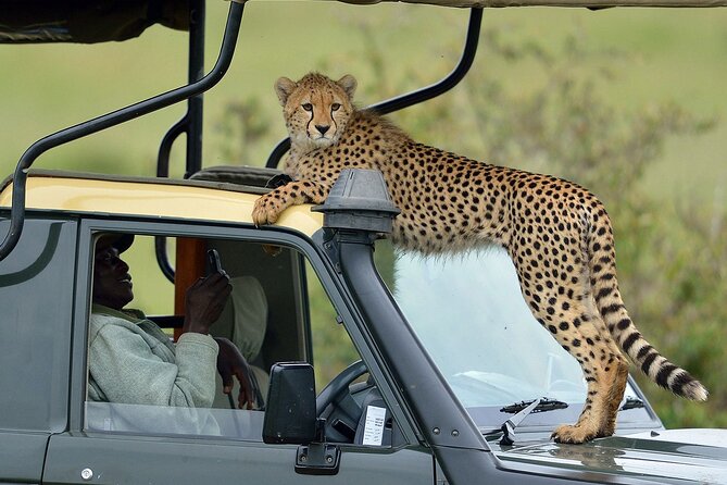3-Days Maasai Mara Camping Safari on 4x4 Land Cruiser Jeep - Key points to know before you book