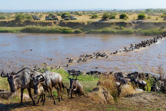 3-Days Maasai Mara Camping Safari on 4x4 Land Cruiser Jeep - What to expect at Lenchada Tourist Camp