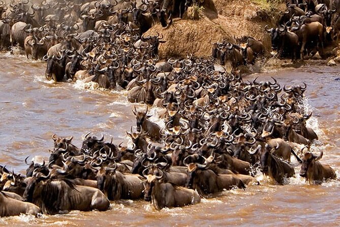 3-Days Maasai Mara Camping Safari on 4x4 Land Cruiser Jeep - Adding the Maasai village visit for $20
