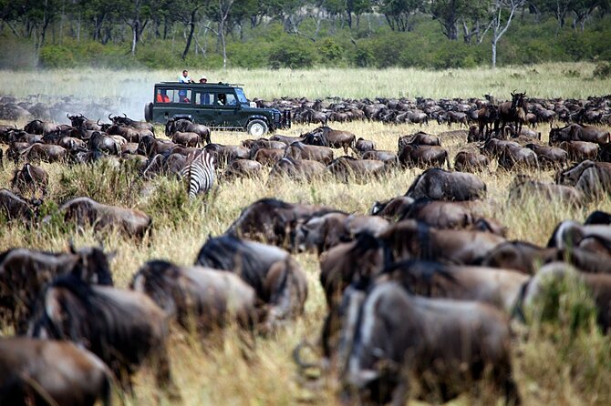 3-Days Maasai Mara Camping Safari on 4x4 Land Cruiser Jeep - Returning to Nairobi through Mai-Mahiu