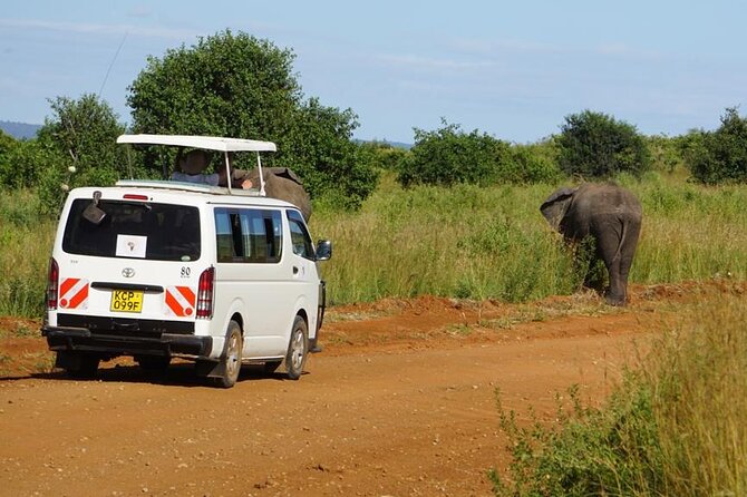 3 Days Maasai Mara Guided Safari from Nairobi - Why three days is enough for a first Maasai Mara visit