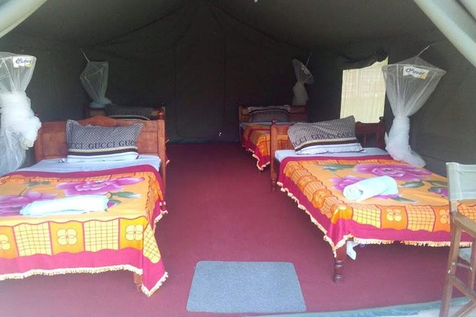 3 Days Maasai Mara Guided Safari from Nairobi - What the budget tents are really like