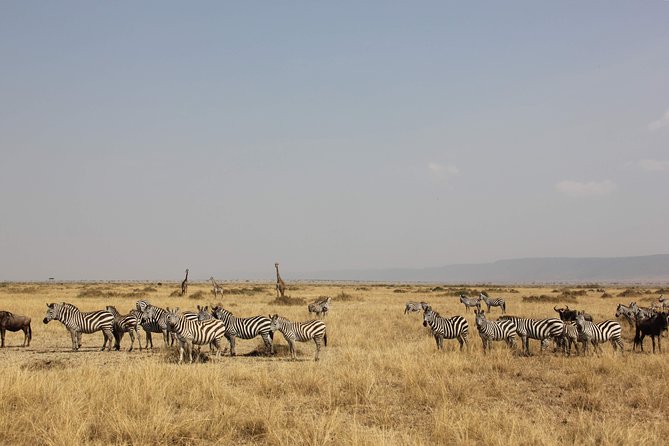 3 Days Maasai Mara Luxury Camping - The long road from Nairobi to the Maasai Mara