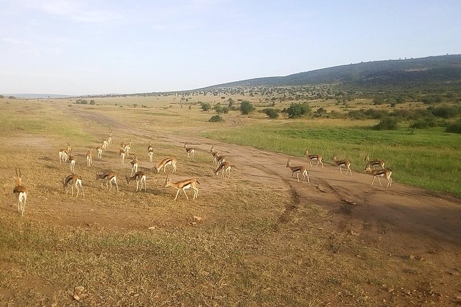 3 Days Maasai Mara Luxury Camping - Adding a hot-air balloon ride