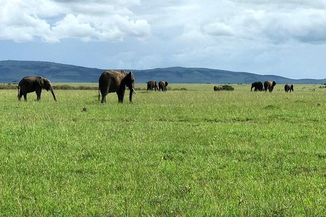 3 Days Maasai Mara Luxury Camping - Luxury camping, meals, and service