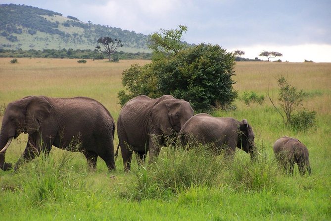 3 Days Maasai Mara Luxury Camping - Is $3,980 a good price?
