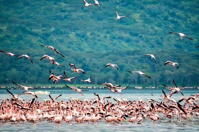 3 days maasai mara migration safari - The Nairobi departure and Great Rift Valley stop