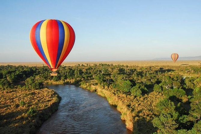 3 days Maasai Mara private Lodge safari at Keekorok from Nairobi - Day two: the full Mara experience
