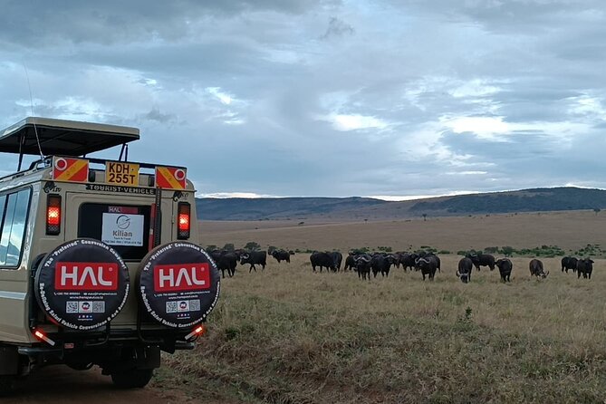 3 Days Maasai Mara Private Safari - Day 2: A full day among the Big Five