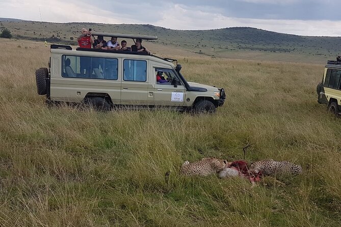 3 Days Maasai Mara Private Safari - Day 3: One last drive before Nairobi