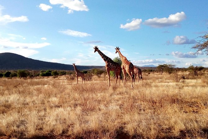 3 days Maasai Mara safari from Nairobi - What the $384.62 price really covers