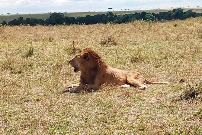 3 days Maasai Mara safari from Nairobi - Arriving at camp around 3 p.m.