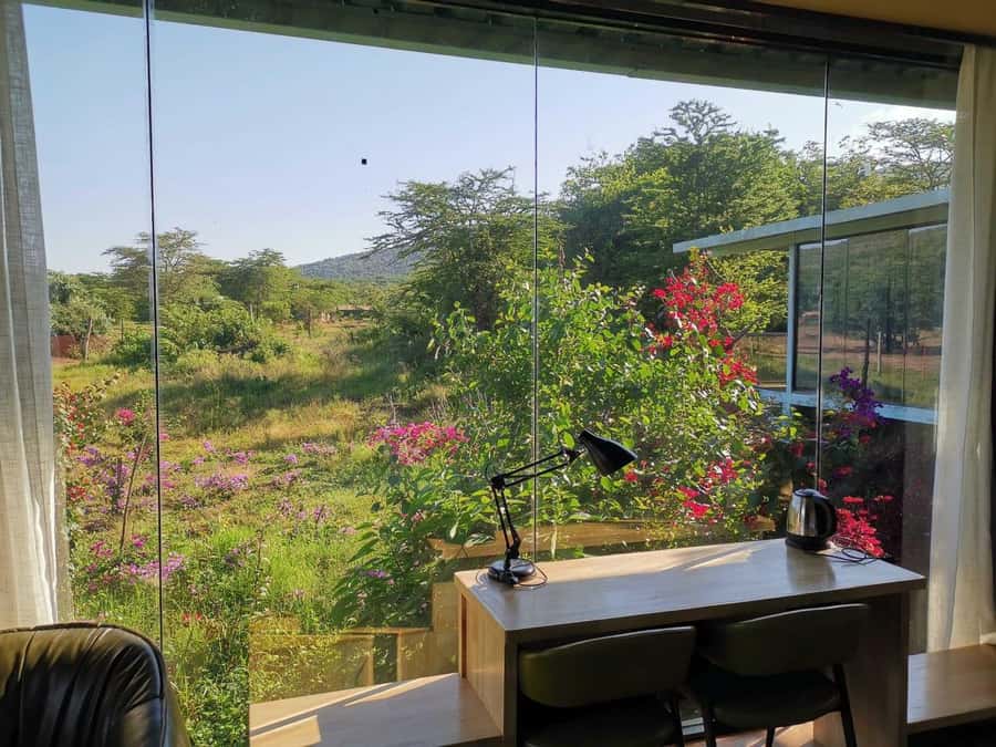 3 Days Maasai Mara Small Group Safari- Jambo Mara Lodge - Is $570 a good value?