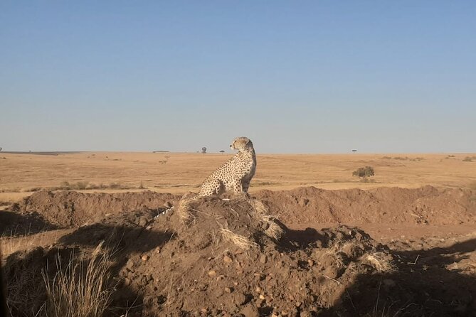 3-Days Maasai Mara unforgettable Adventure- Jeep Private Safari - A Maasai village visit before the return to Nairobi