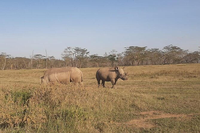 3-Days Maasai Mara unforgettable Adventure- Jeep Private Safari - What the price includes, and what it does not