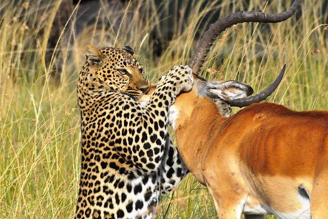 3-Days Masai Mara 4 x 4 Safari from Nairobi - The optional Maasai village visit needs a clear price check