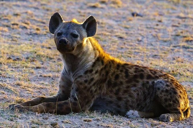 3-Days Masai Mara 4 x 4 Safari from Nairobi - What the $1,358.11 price really covers