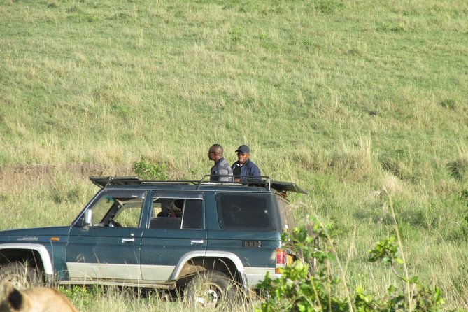 3 days Masai Mara - Meals, park fees, and the real cost