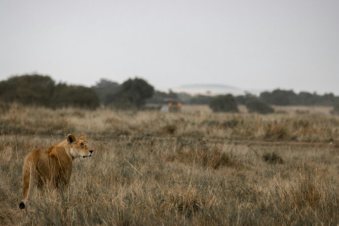3 Days Masai Mara Budget Cruiser Shared Safari & Maasai Village - Who should book this Maasai Mara trip?