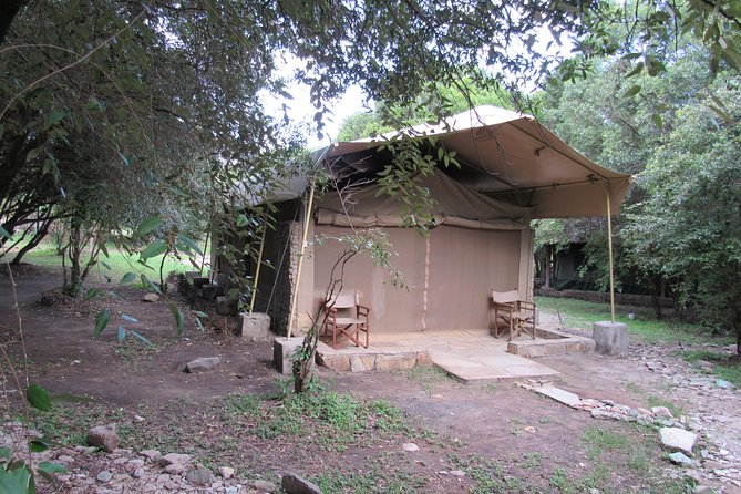3 Days Masai Mara Budget Safari - Price, practical value, and who should book