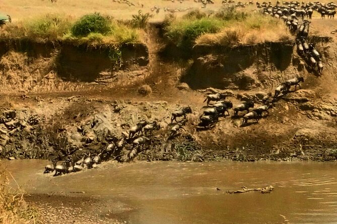 3 Days Masai Mara Budget safari Meals and accommodation included - Camp comfort, food, and the budget trade-off