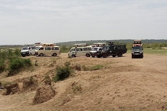 3 Days Masai Mara Budget safari Meals and accommodation included - How the guides and office support affect the trip