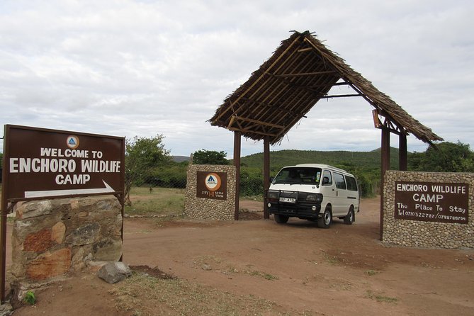 3 Days Masai Mara Budget Safari - Day 2: The full Maasai Mara game-drive day