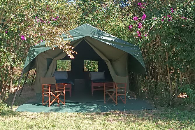 3 Days Masai Mara Camping Safari - Camping comfort and included meals