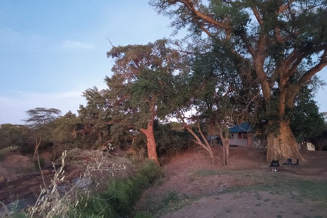 3 Days Masai Mara Camping Safari - The 6:30 a.m. game drive is the day’s highlight