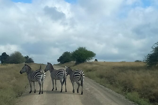 3 Days Masai Mara Experience - The Maasai village visit on day three