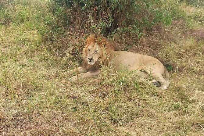3 Days Masai Mara Experience - What the $990 price really covers
