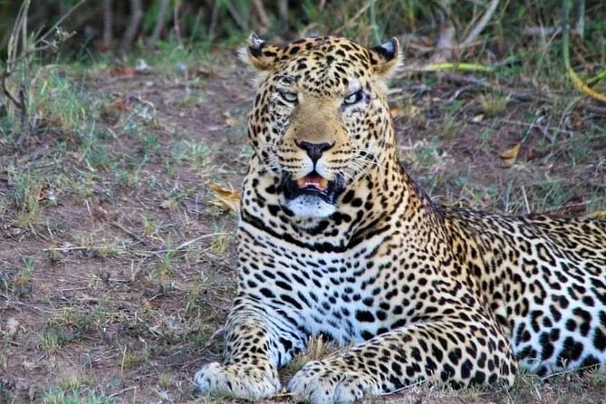 3 Days Masai Mara Flight Safari - The human side of the arrangement