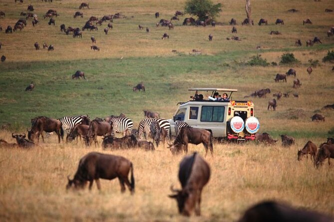 3 Days Masai Mara Group Budget safari in 4x4 Jeep Daily Tour - Day three: an optional Maasai village visit and the return to Nairobi