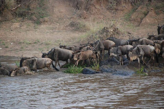 3 Days Masai Mara Group Joining Safari - Leaving Nairobi and crossing the Great Rift Valley