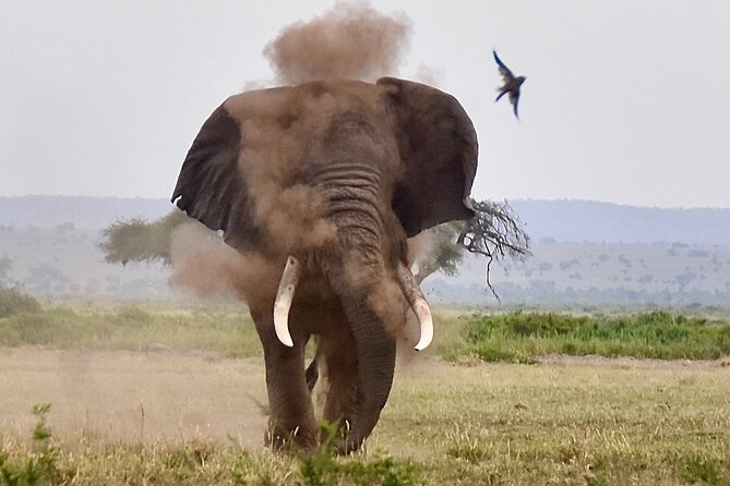 3 Days Masai Mara Luxury Safari - The first Masai Mara game drive