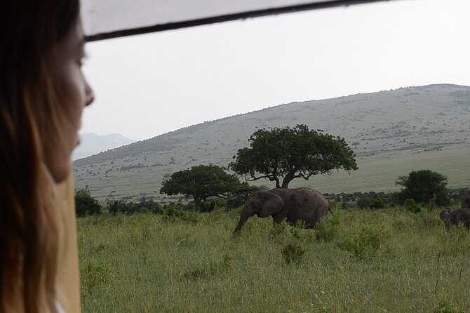3 days Masai Mara on Private 4x4 Land Cruiser - Meals, vehicle comfort, and daily practicalities