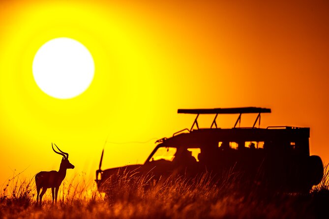 3 days Masai Mara on Private 4x4 Land Cruiser - What the strong guide feedback tells you
