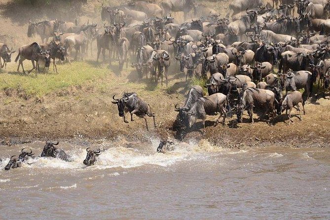 3 Days Masai Mara Private Safari at Sopa Lodge from Nairobi - The Mara River and migration country