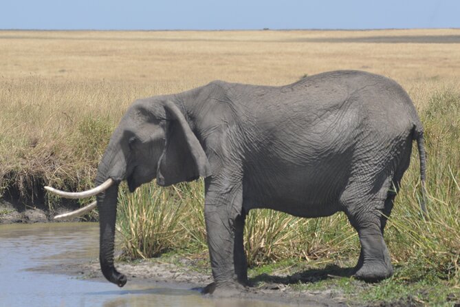 3-Days Masai Mara Rhythms Safari - Nairobi to the Mara, with the Great Rift Valley in between