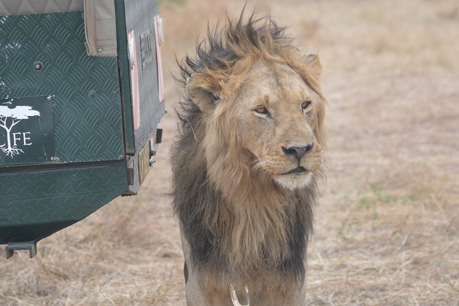 3-Days Masai Mara Rhythms Safari - The first evening drive in Maasai Mara