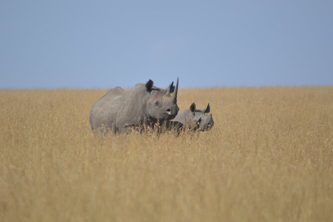 3-Days Masai Mara Rhythms Safari - Who will get the most from this safari