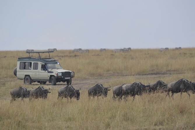 3-Days Masai Mara Rhythms Safari - Day two gives the Mara the time it deserves