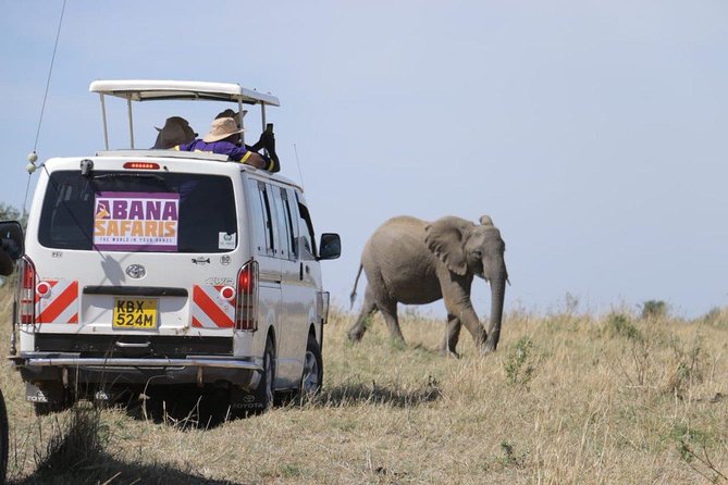 3 Days Masai Mara Safari - The early morning drive on day three