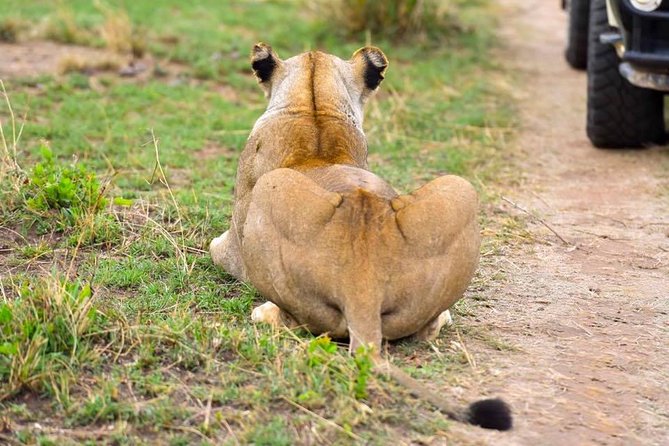 3 Days Masai Mara Safari - What the $400 price really covers