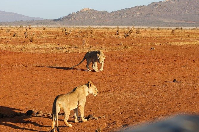 3 days Red elephant safari - Key points before you book
