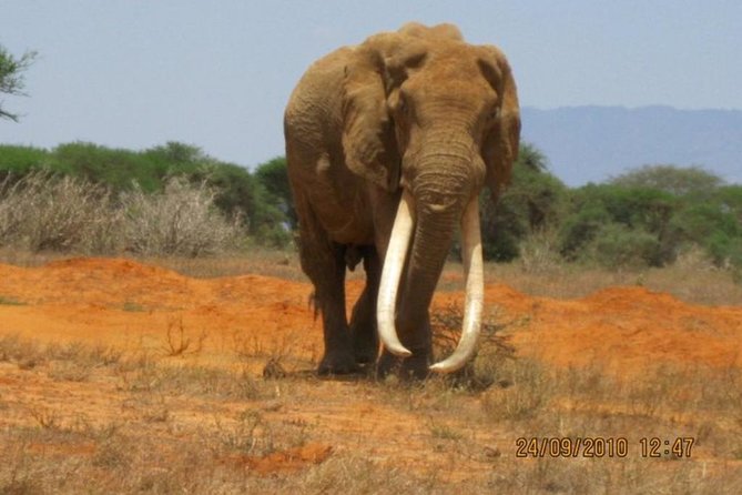 3 days Red elephant safari - Who should book this safari?