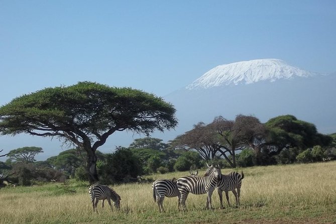 3 days Red elephant safari - Day 2: A morning drive, then Taita Hills